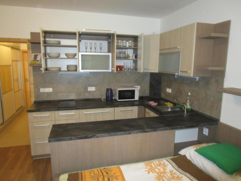 Apartmán Říčky v Orlických Horách Wüstenei Exterior foto