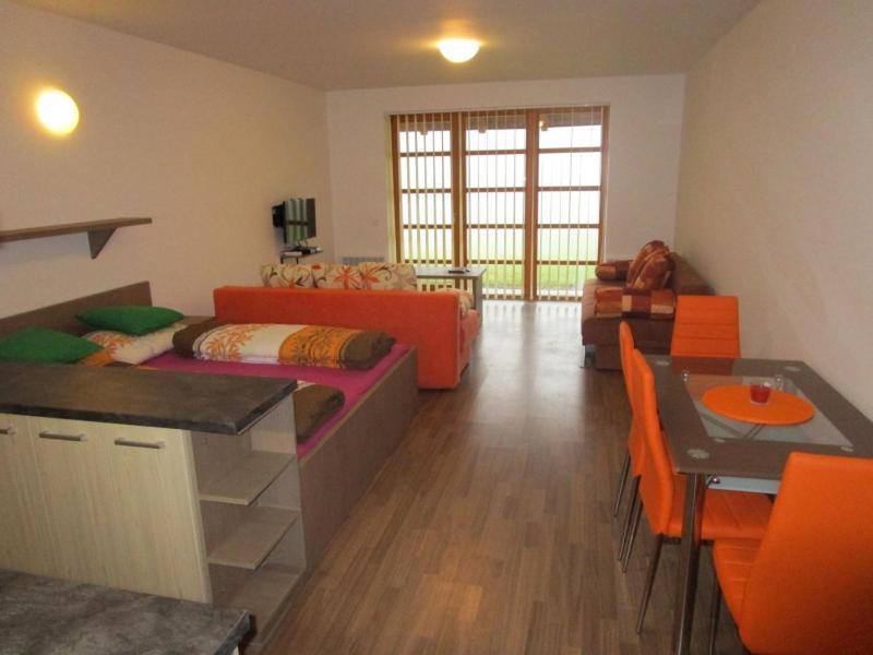 Apartmán Říčky v Orlických Horách Wüstenei Exterior foto
